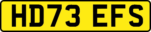 HD73EFS
