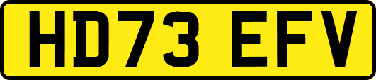 HD73EFV