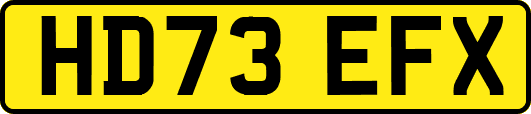 HD73EFX