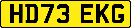 HD73EKG