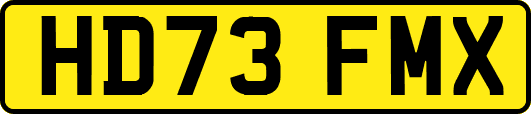 HD73FMX