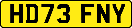 HD73FNY