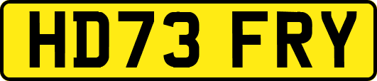 HD73FRY