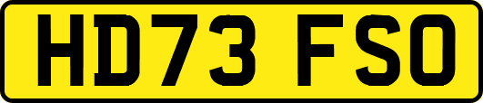 HD73FSO