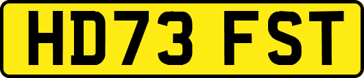 HD73FST