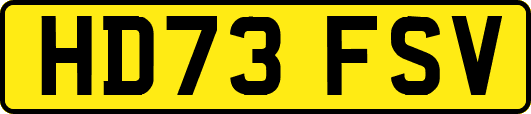 HD73FSV