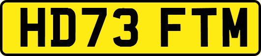 HD73FTM