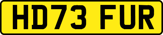 HD73FUR