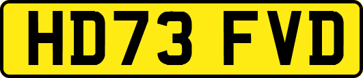 HD73FVD