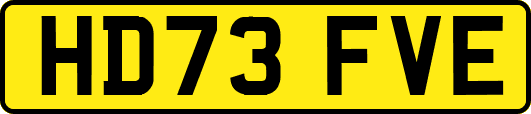 HD73FVE
