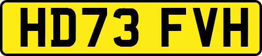 HD73FVH