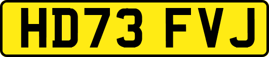 HD73FVJ