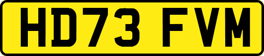 HD73FVM
