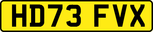 HD73FVX