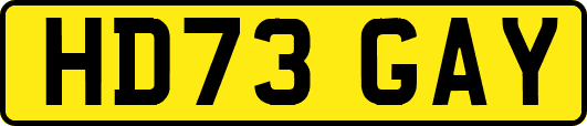 HD73GAY