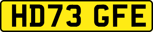 HD73GFE
