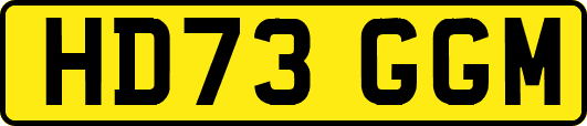 HD73GGM