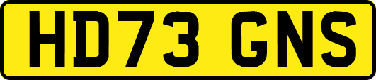 HD73GNS