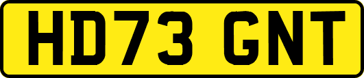 HD73GNT