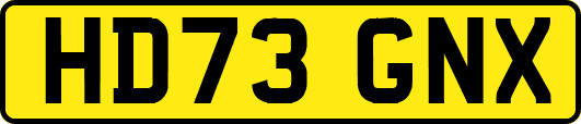 HD73GNX