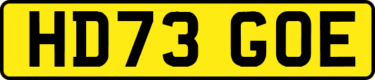 HD73GOE