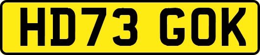HD73GOK