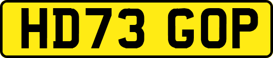 HD73GOP