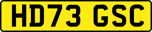 HD73GSC