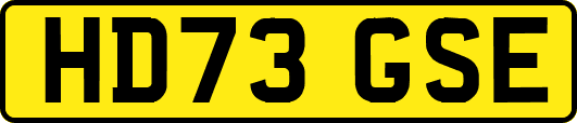 HD73GSE