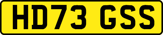 HD73GSS