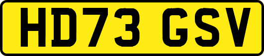HD73GSV