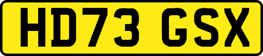 HD73GSX