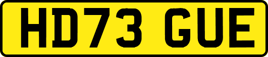 HD73GUE