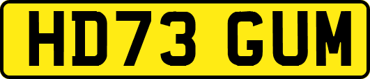 HD73GUM