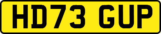 HD73GUP
