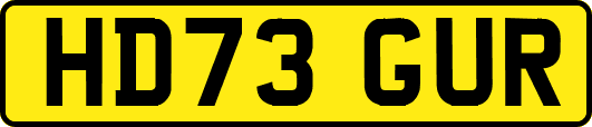 HD73GUR