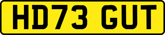 HD73GUT