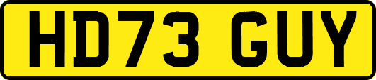 HD73GUY