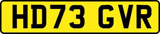 HD73GVR