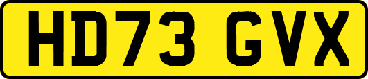 HD73GVX