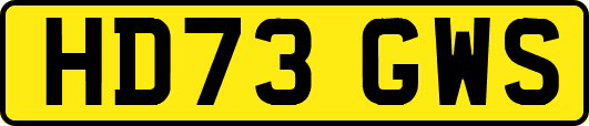 HD73GWS