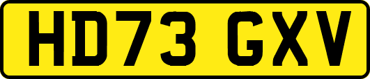 HD73GXV