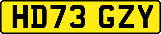 HD73GZY