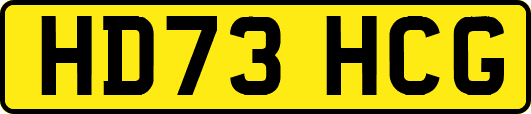 HD73HCG