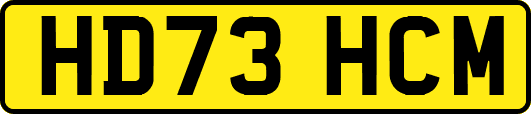 HD73HCM