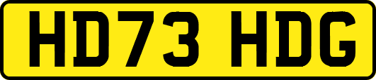 HD73HDG