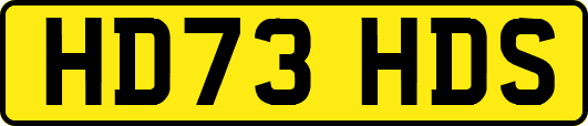 HD73HDS