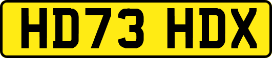 HD73HDX