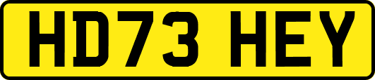 HD73HEY