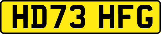 HD73HFG